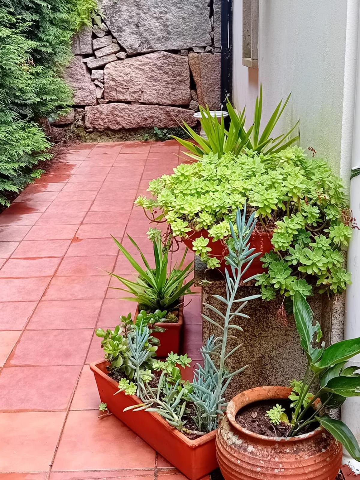 Vivienda Con Jardin Terraza Y Barbacoa Villa Picona Екстериор снимка